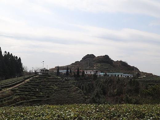 2021年2月17日轿子山茶场