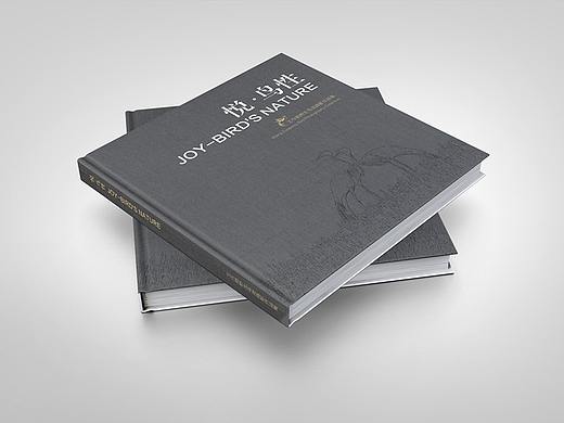 平面设计-摄影类画册