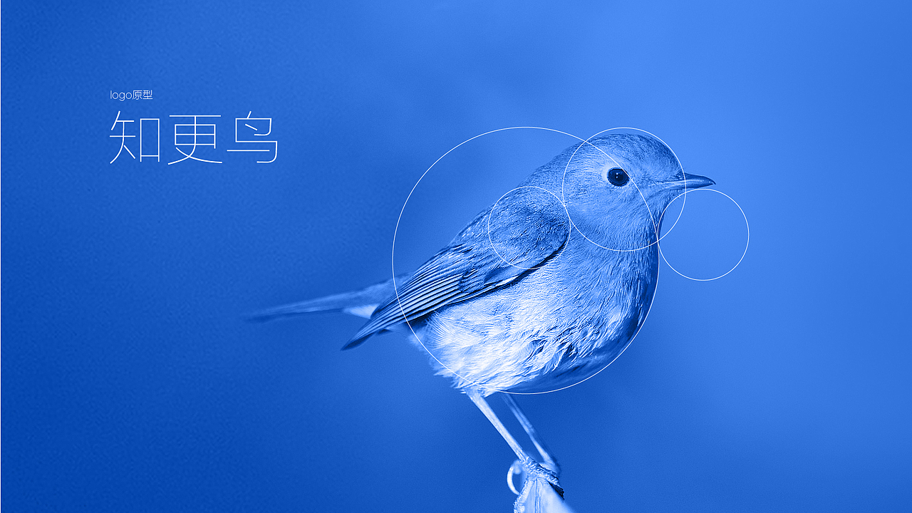 叽喳品牌logo（图ZMTM1MjY2Mzc2） - 品牌 - 站酷设计师24点半原创素材 - 站酷ZCOOL