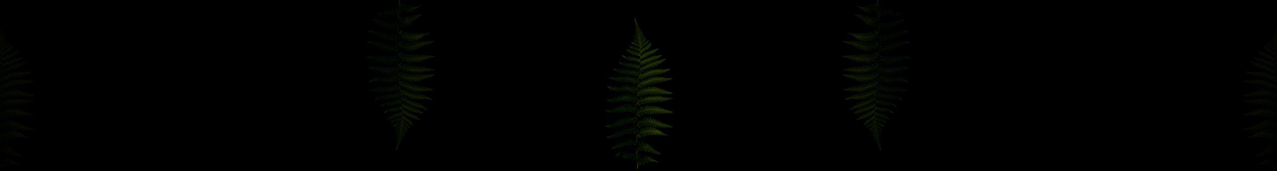 Matthew_字典的個人主頁（封面預(yù)覽） - 主頁封面設(shè)置 - 站酷設(shè)計師Matthew_字典原創(chuàng)素材 - 站酷ZCOOL