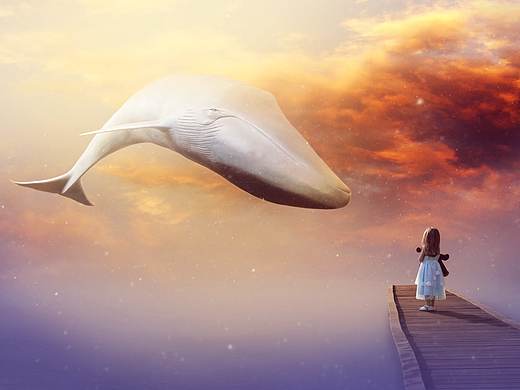 合成练习（个人主页-ZMzM4ODczODg=） - 海报 - 站酷设计师无知先森原创素材 - 站酷ZCOOL