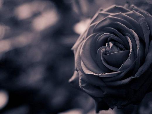 黑魔法之书-----手账本