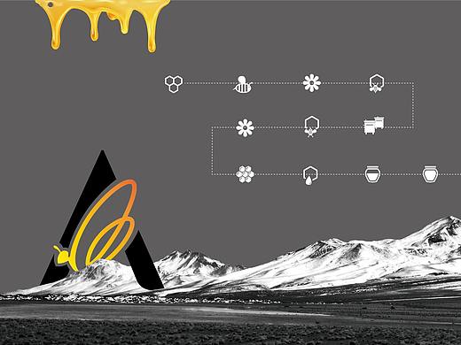 吉尔吉斯阿曼蜂蜜VI手册