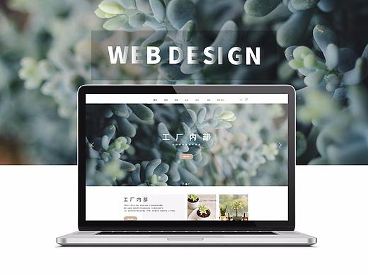植物-WEB