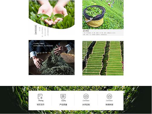 茶叶-产品网页