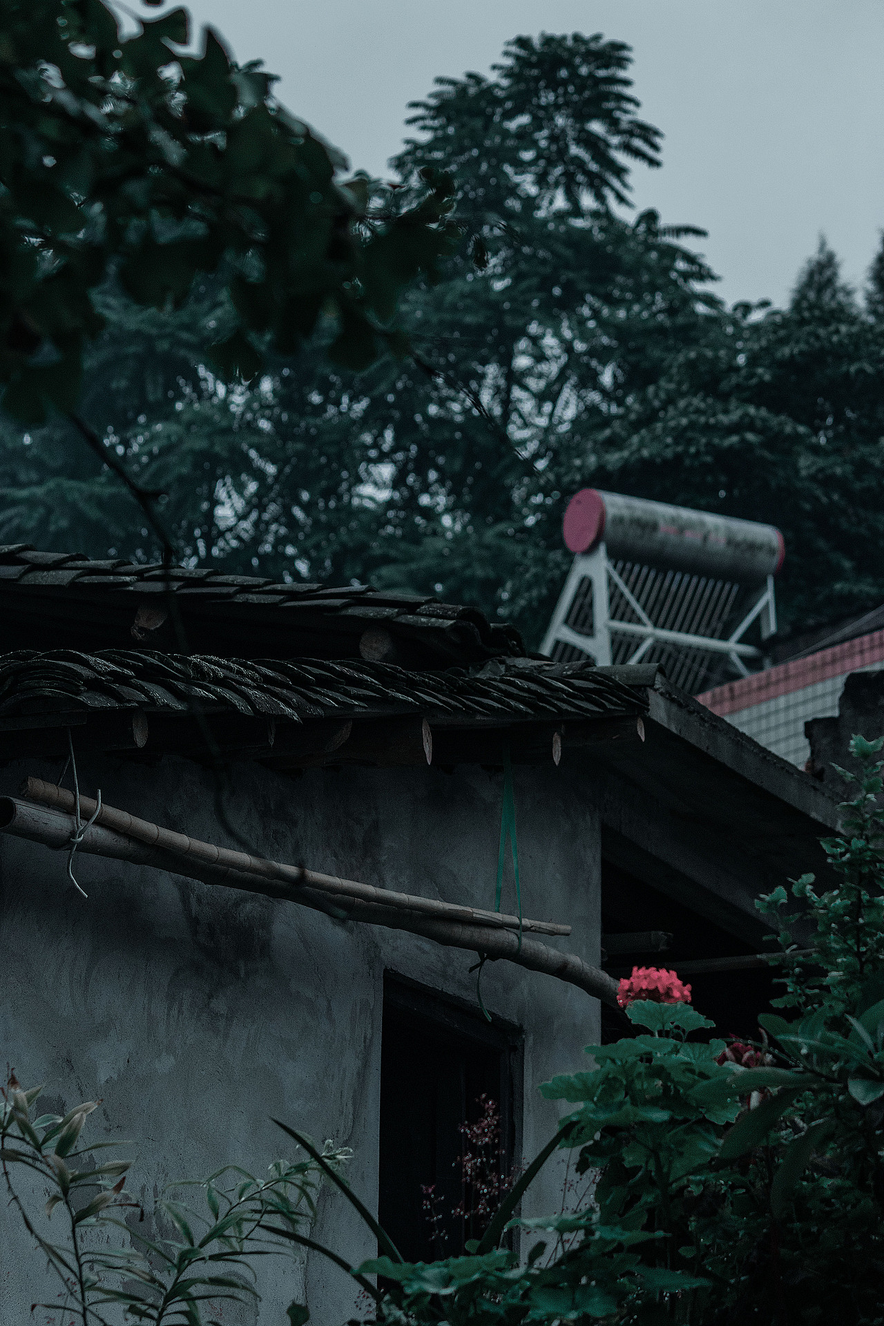 天青色等烟雨,我在山里等你