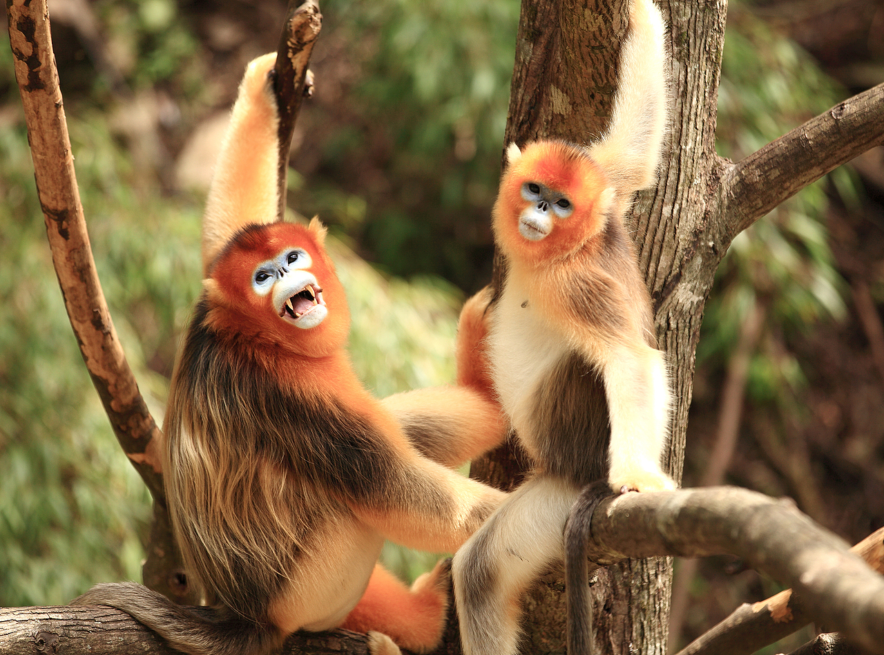 百贤×三足鸟丨有趣的灵魂万里挑一 迷人的果酒无与伦比（图ZMjY3MTY0ODgw） - 文案/策划 - 站酷设计师三足鸟品牌策划原创素材 - 站酷ZCOOL