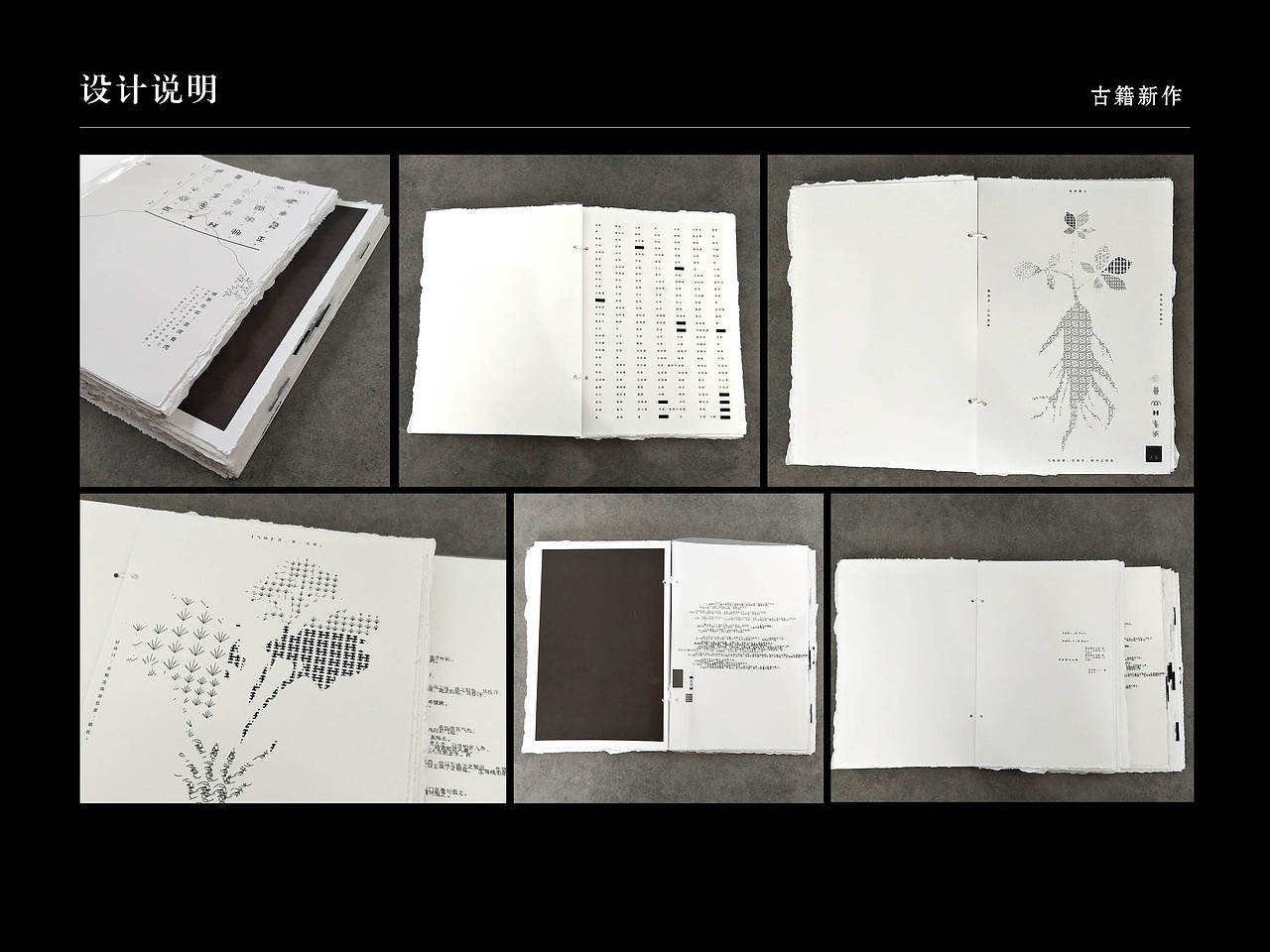 本草纲目书籍装帧设计