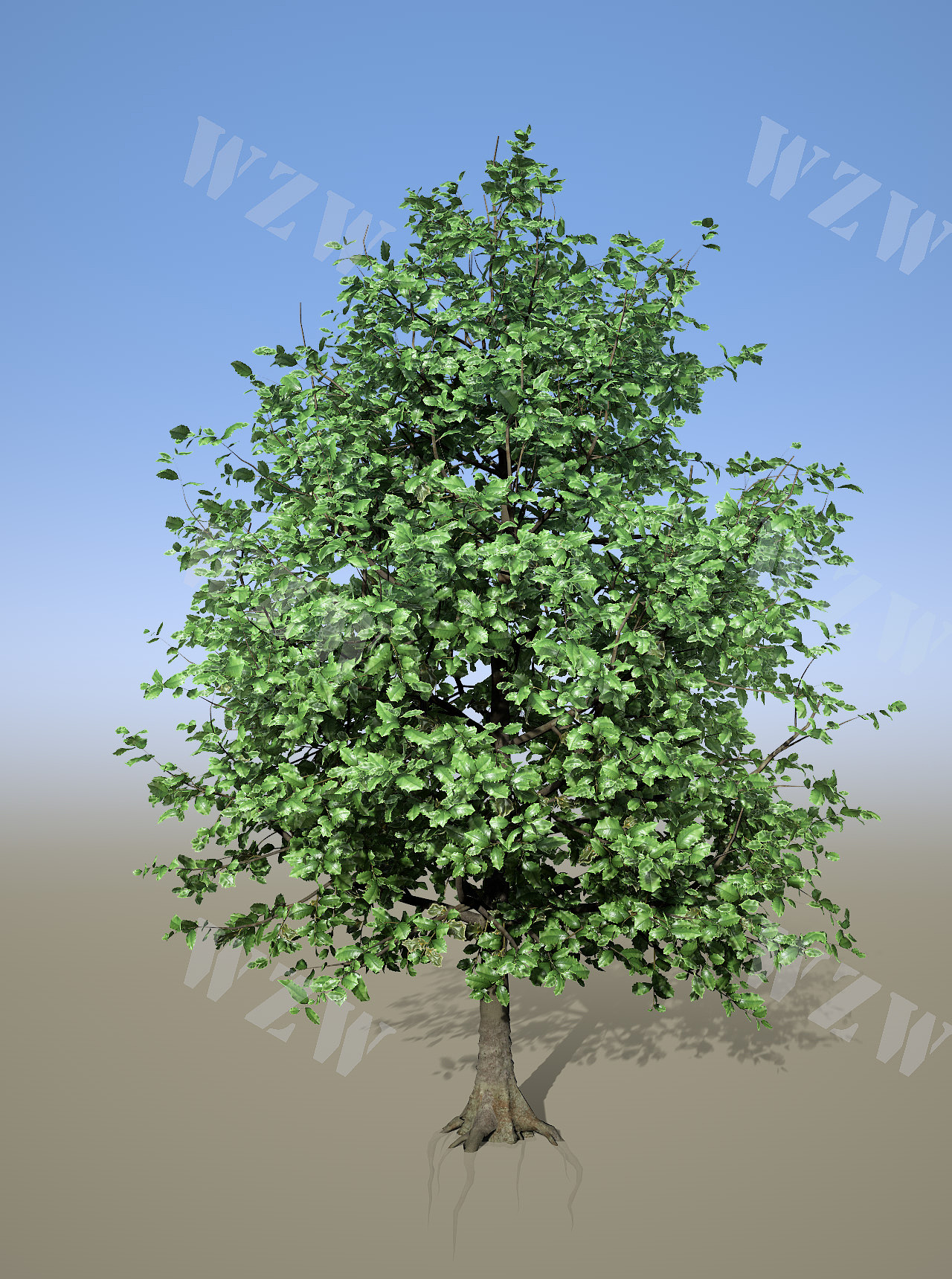 花草树木|SpeedTree|植物制作的阶段性成果展示（图ZMzYyOTY1OTMy） - 场景 - 站酷设计师旋律S原创素材 - 站酷ZCOOL