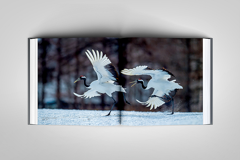 平面设计-摄影类画册