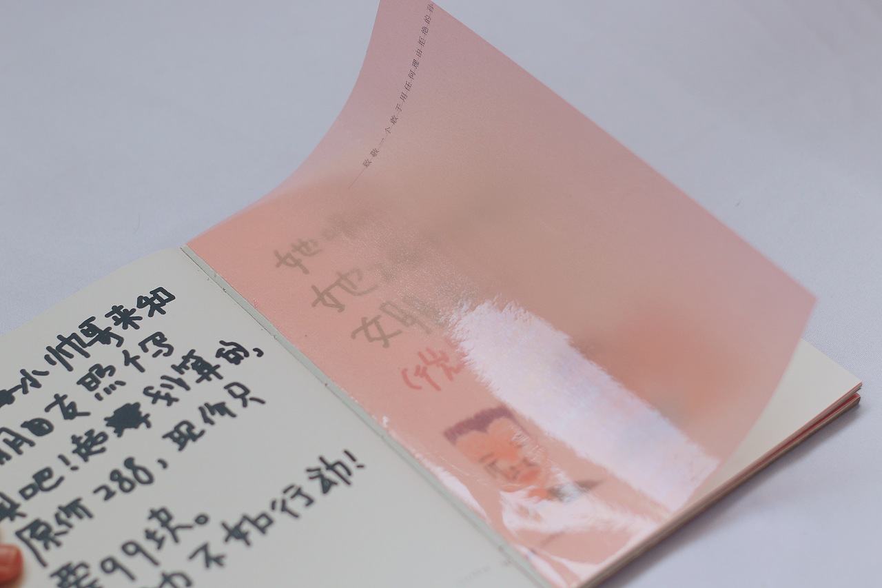 《许猫孙狗》书籍设计（图ZODIwMTU5Mjg=） - 书籍/画册 - 站酷设计师马上吃包子原创素材 - 站酷ZCOOL