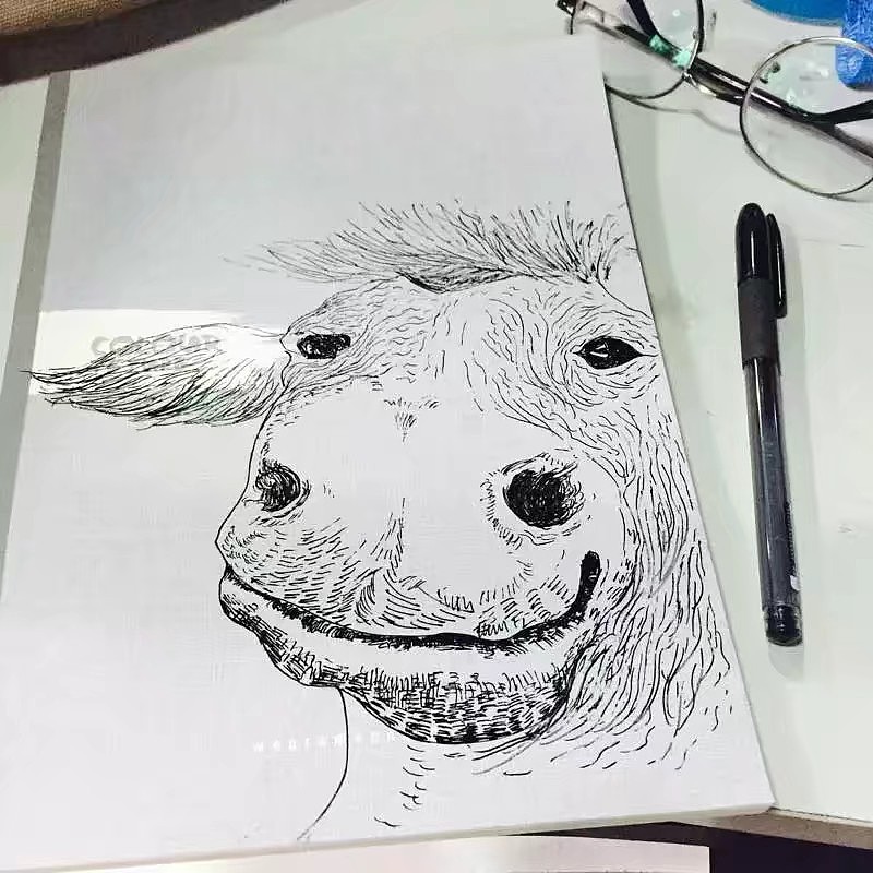 整理的一些练习