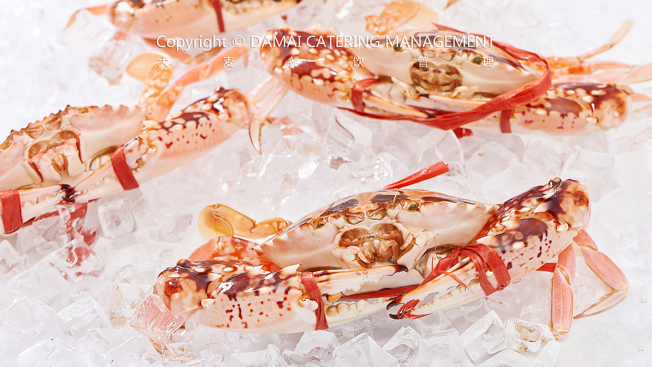 潮旺渔港（图ZMTY2OTM2MTA4） - 产品摄影 - 站酷设计师PHOTOMAN摄影侠原创素材 - 站酷ZCOOL