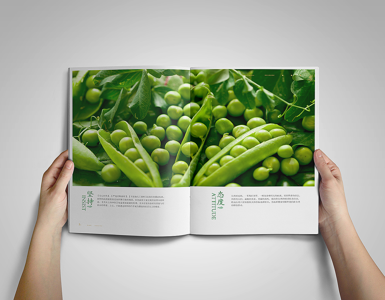 菜谱设计（图ZMTIwMjk2OTM2） - 书籍/画册 - 站酷设计师三极客原创素材 - 站酷ZCOOL