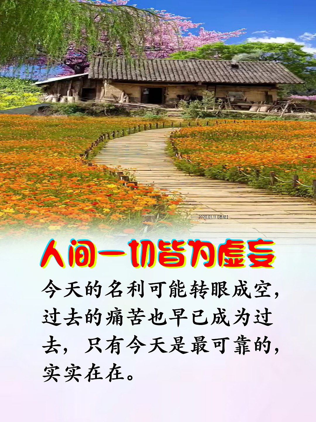 🌸💮🌺（图ZMjg4MTI2MjY4） - 人文/纪实摄影 - 站酷设计师清清凉凉原创素材 - 站酷ZCOOL