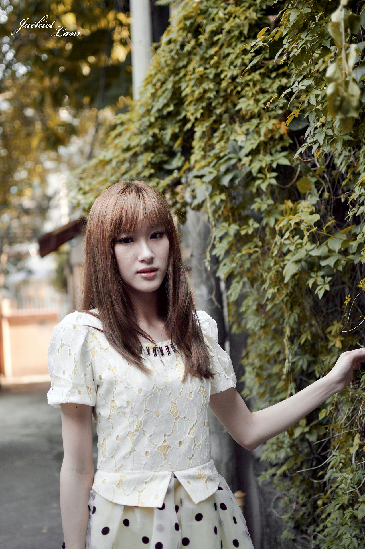 致当年的夏日记