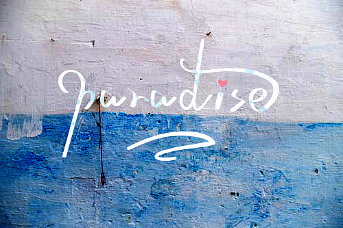 手绘英文字体（图ZMTk1NjE2NzQ4） - 品牌 - 站酷设计师凌风自舞原创素材 - 站酷ZCOOL