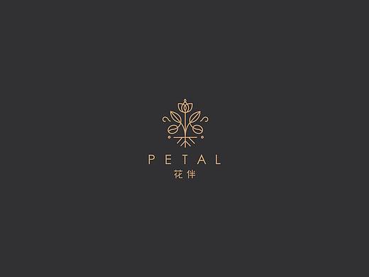 《PETAL·花伴》用“花”与生活相陪伴