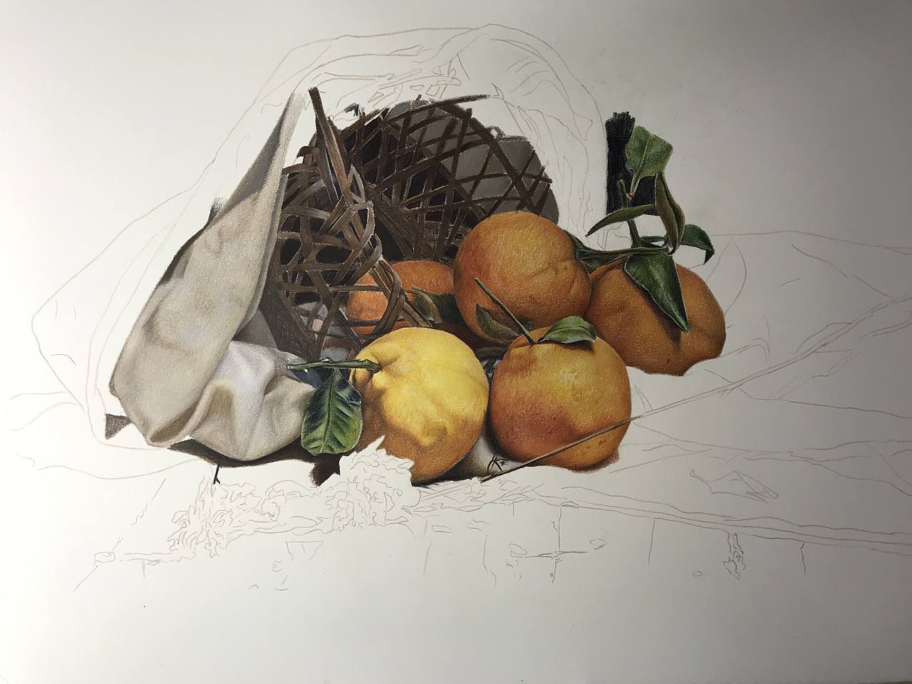 彩铅静物系列之-丑橘、霹雳马偏写实风格(内附过程)