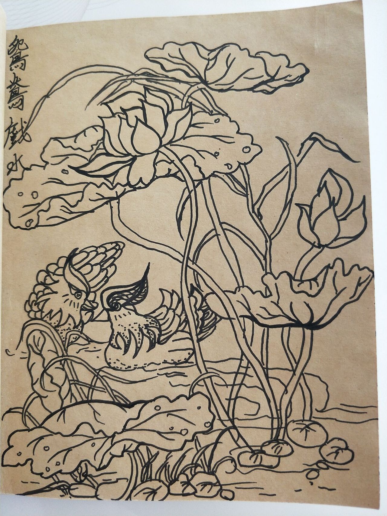 线描手绘