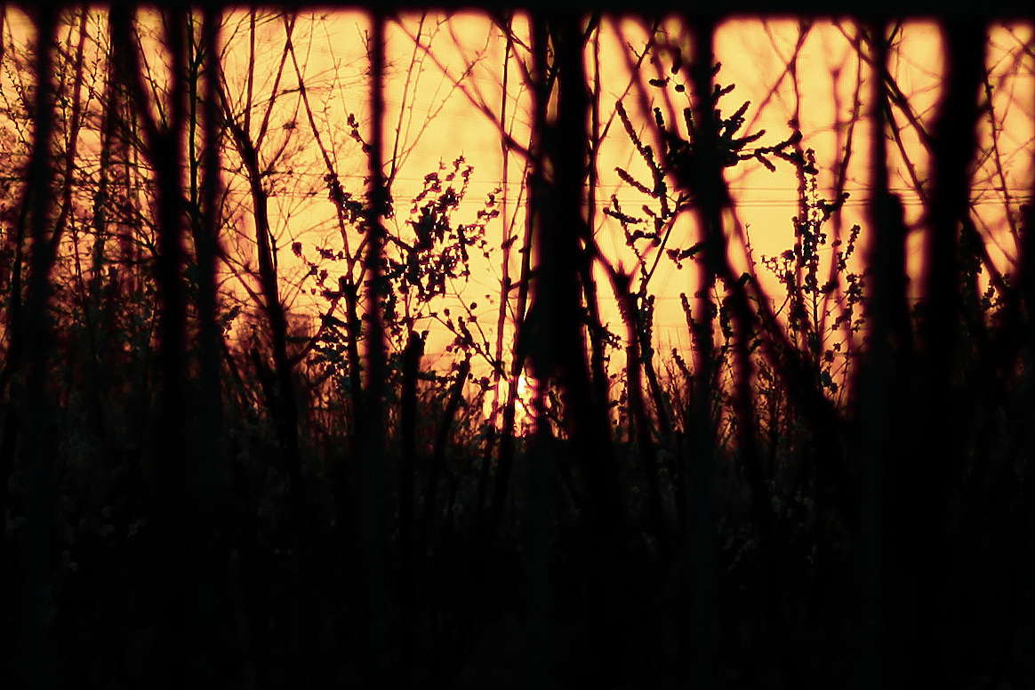 阳光彩虹小白马