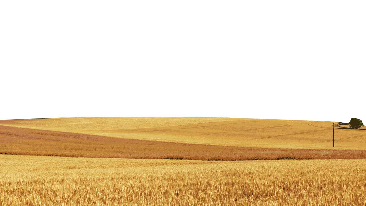 合成海报-啤酒-HEINEKEN（图ZNzcwMzk4NDg=） - 电商 - 站酷设计师从来不看病原创素材 - 站酷ZCOOL