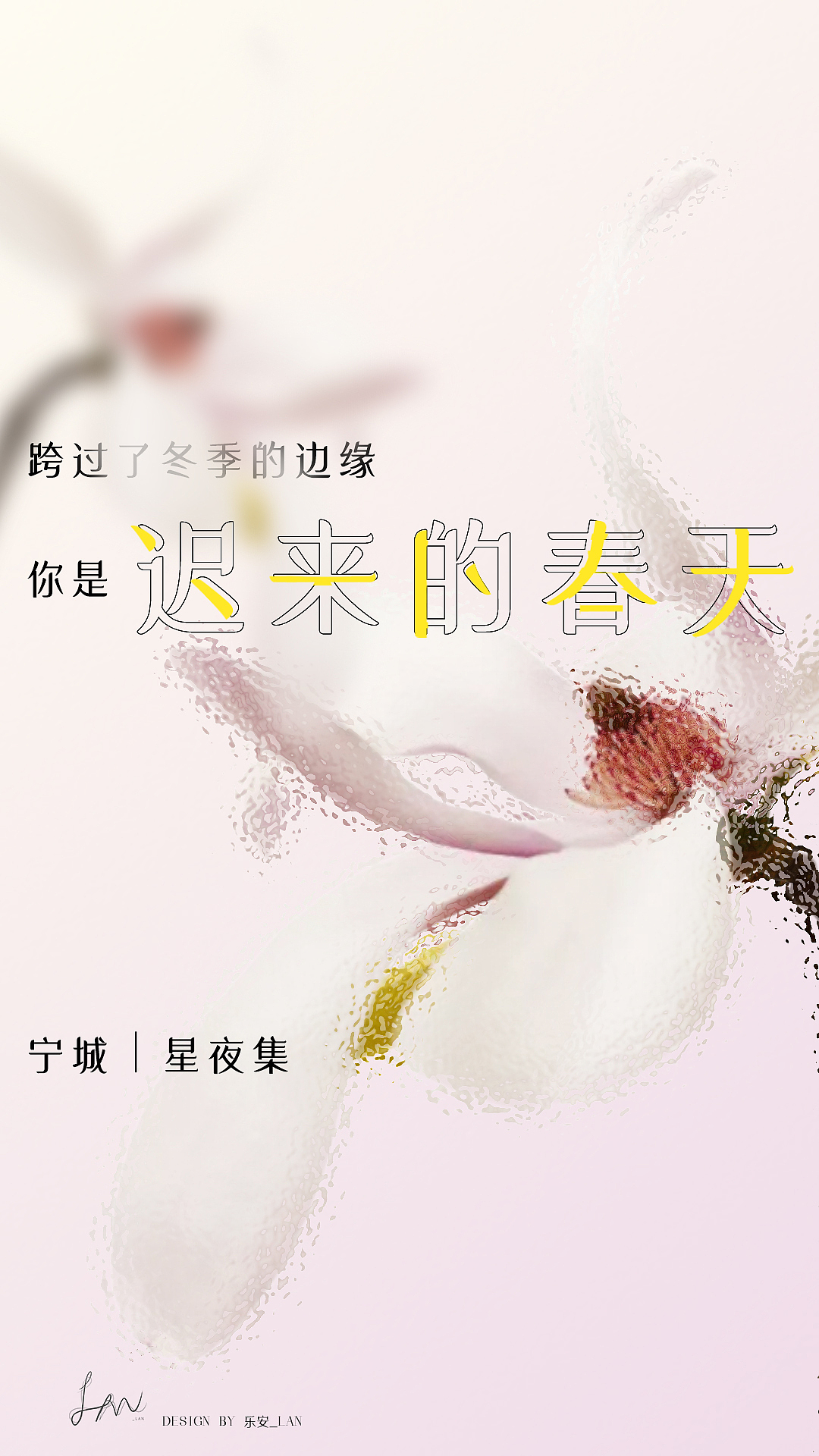 海报练习|关于春天的诗句,关于春天的花朵