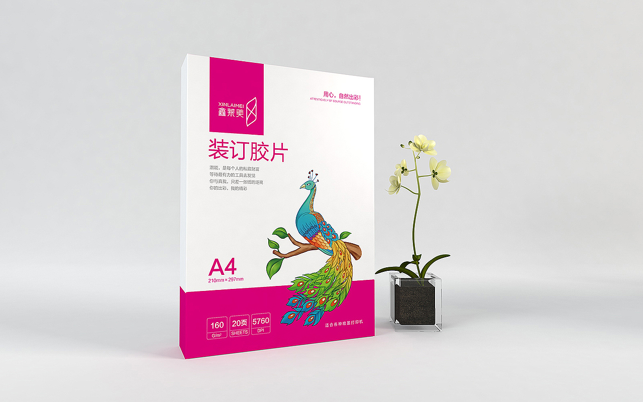 鑫莱美相纸包装设计-衡水瑞智博诚品牌设计