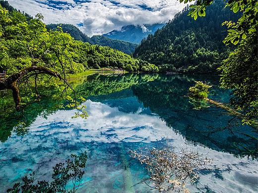 九寨溝三折頁練習（個人主頁-ZMjQyMjI0NDg=） - 宣傳物料 - 站酷設計師情咖彥祖原創(chuàng)素材 - 站酷ZCOOL