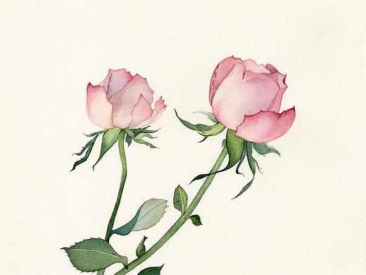 异支（个人主页-ZMjg0ODMwMDg=） - 商业插画 - 站酷设计师_山苍原创素材 - 站酷ZCOOL