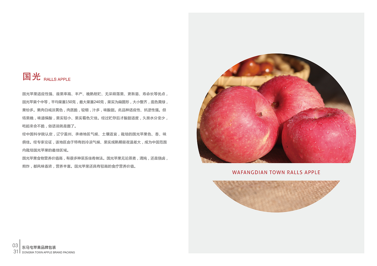 毕业手册（图ZMTY4OTc5OTEy） - 书籍/画册 - 站酷设计师zln张丽娜原创素材 - 站酷ZCOOL
