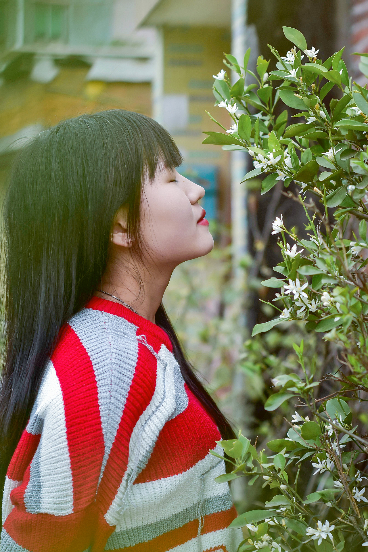 写真集《不期而遇》