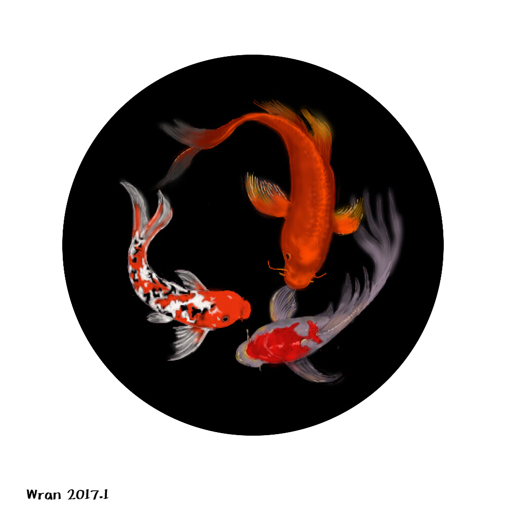 锦鲤（图ZMTEwODU4NzY0） - 商业插画 - 站酷设计师会笑的狼原创素材 - 站酷ZCOOL