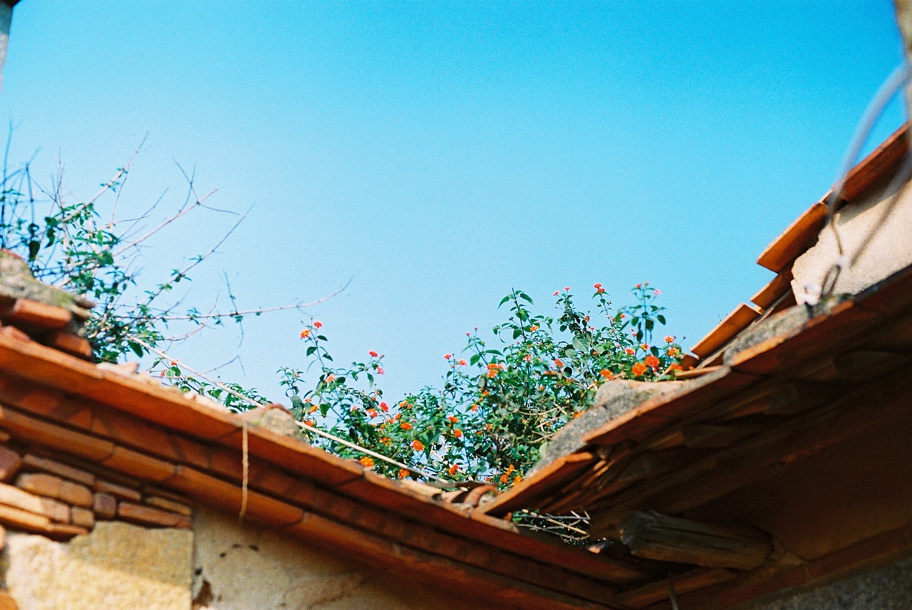 那些被遗忘的街角