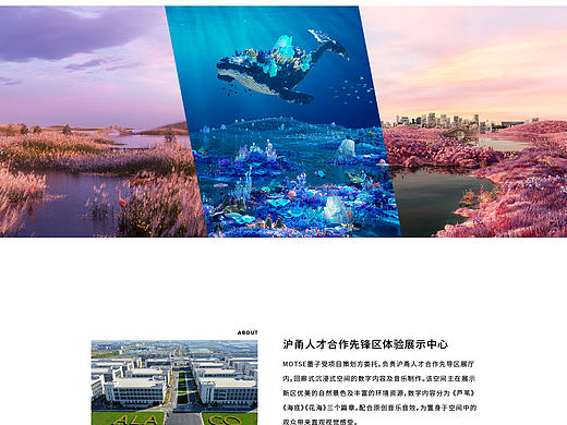 沉浸式影像空间 | ALA&CO沪甬人才合作区·体验展示中心