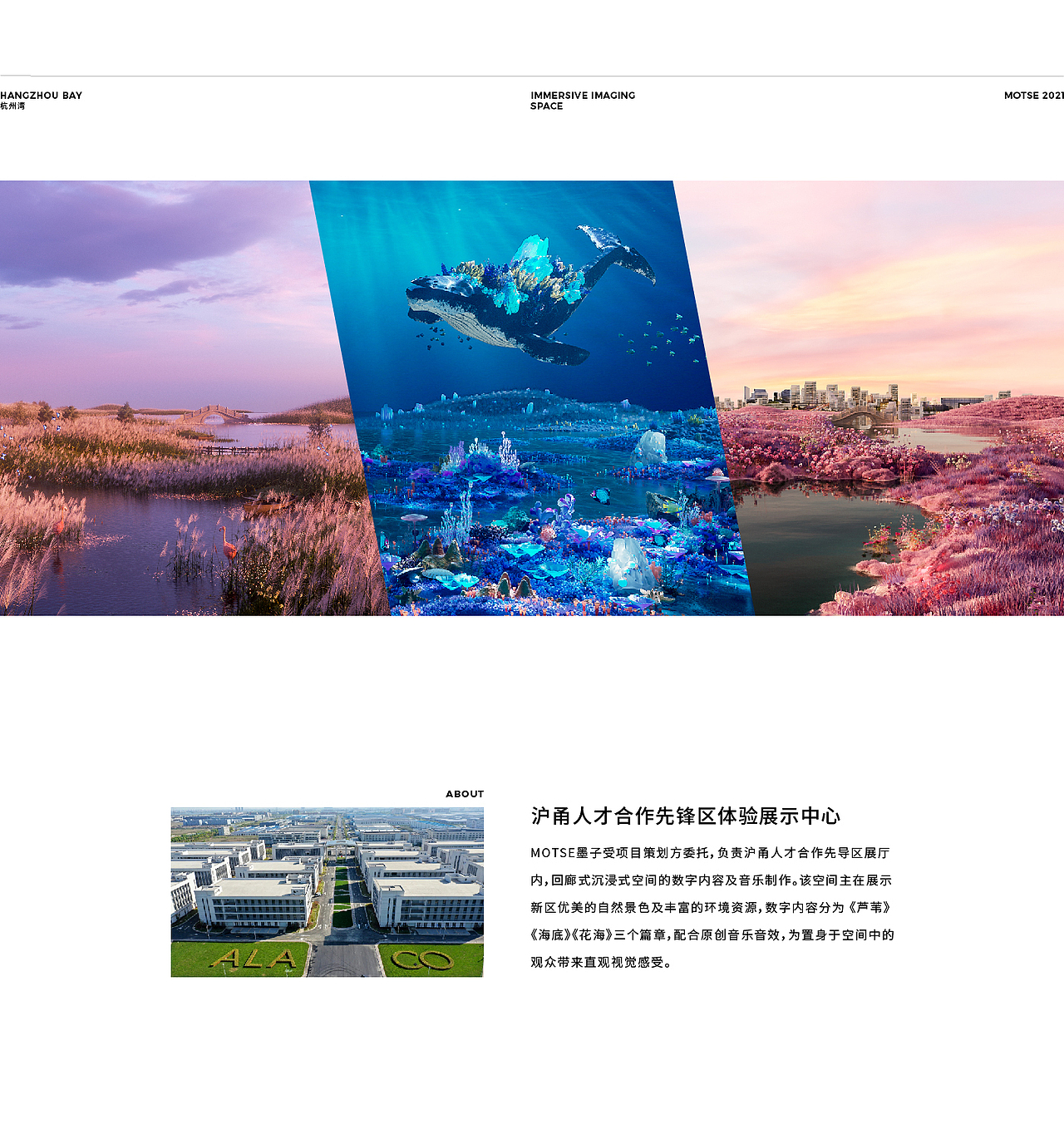 沉浸式影像空间 | ALA&CO沪甬人才合作区·体验展示中心