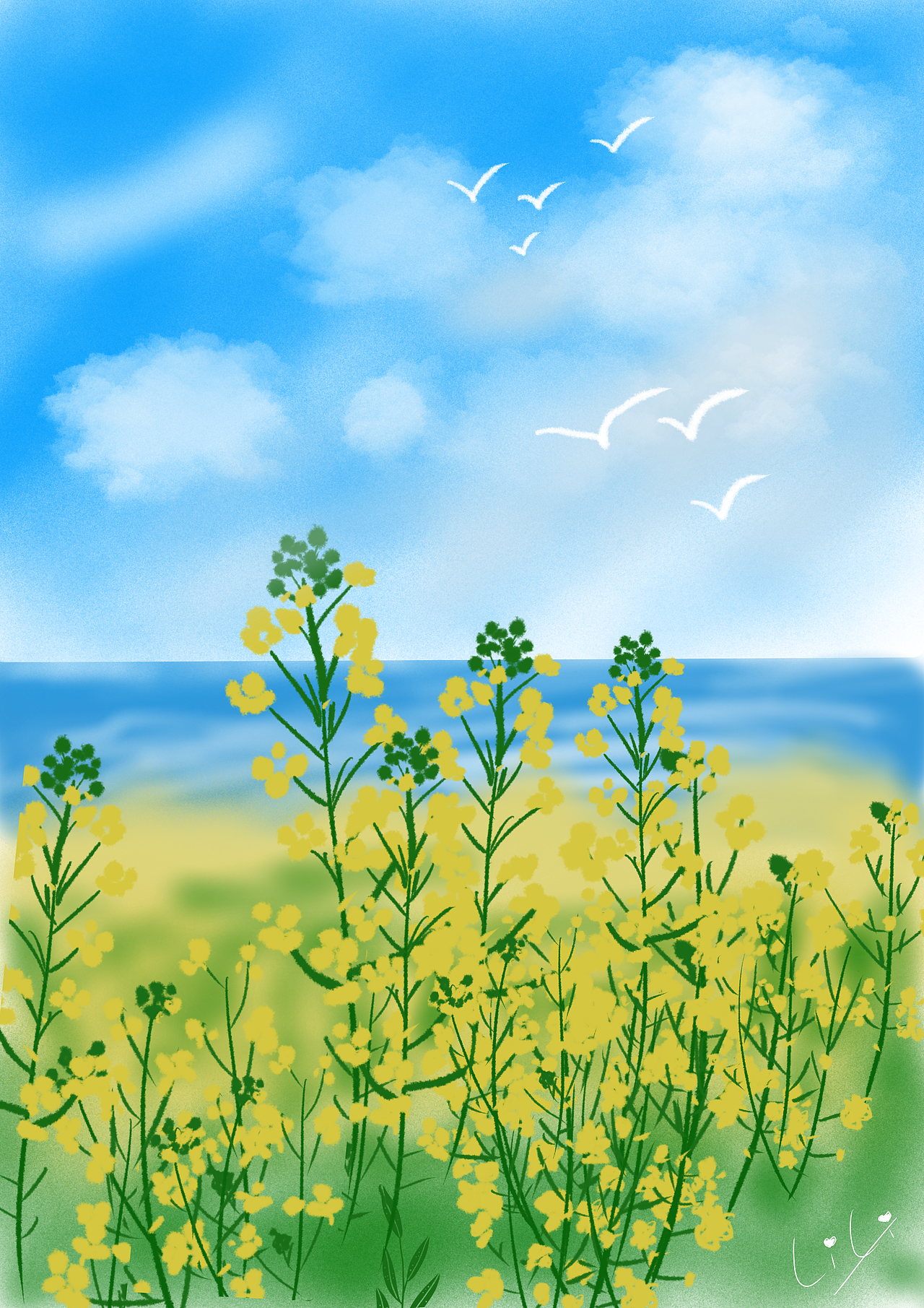 procreate 临摹 油菜花田|插画|创作习作|idarjeeling_临摹作品-站酷