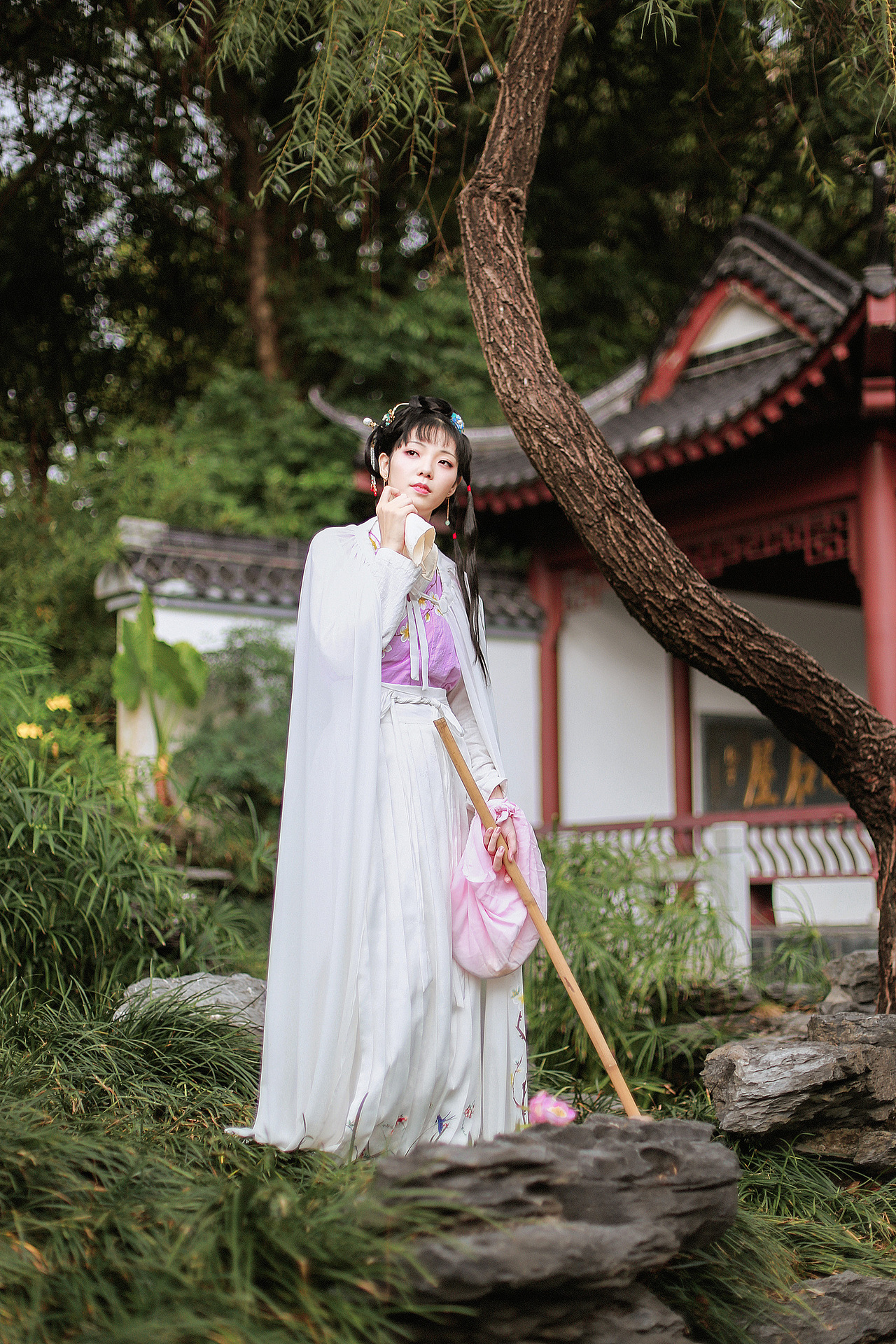 《金陵十二钗》之红楼梦