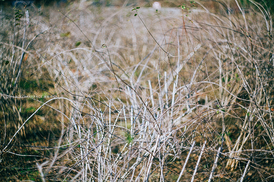 整个世界荒芜一片