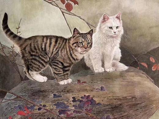 王涛画猫