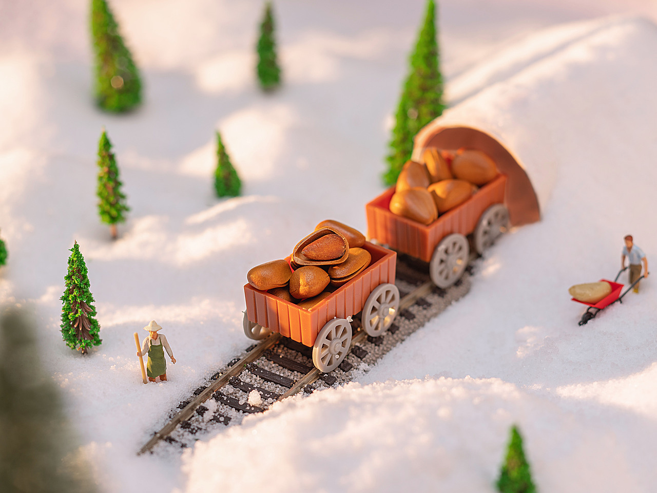 微景观创意拍摄