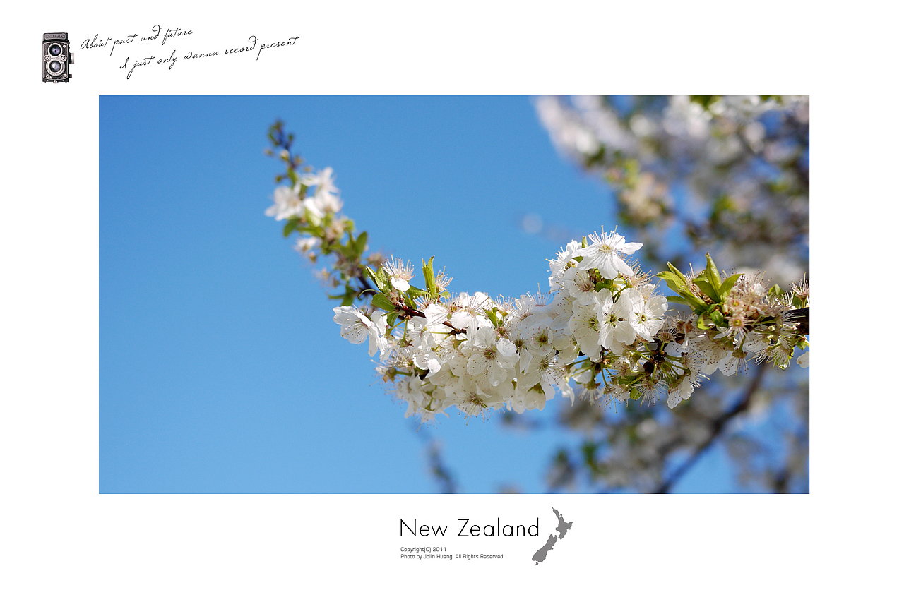 New Zealand 新西兰明信片 part2（图ZNzgyNTE2OA==） - 风光摄影 - 站酷设计师jolinivy原创素材 - 站酷ZCOOL