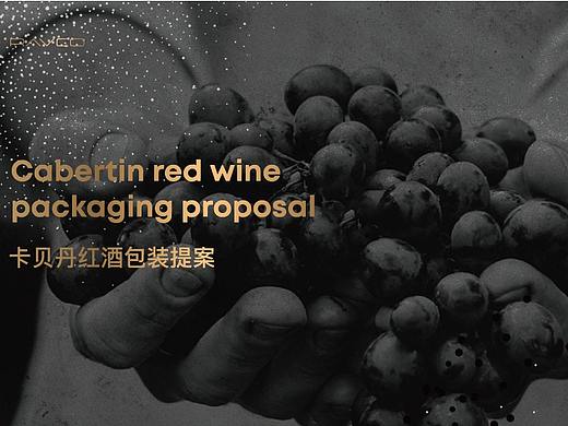 卡贝丹红酒包装