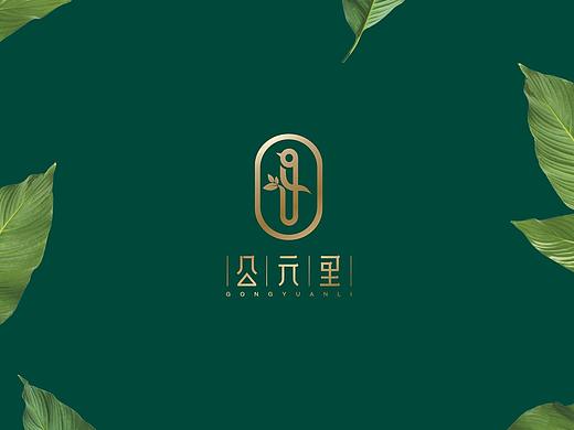 地产项目公元里品牌包装