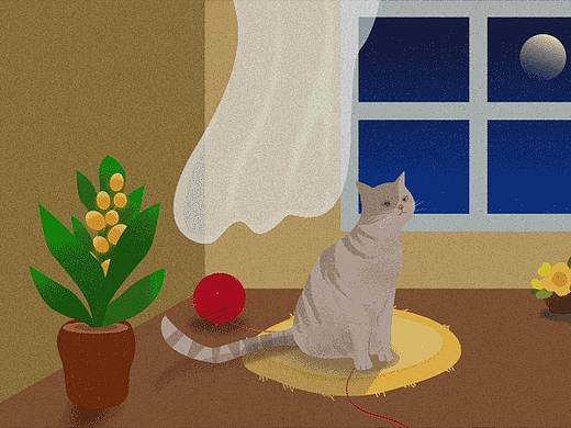 动态插画练习-猫猫