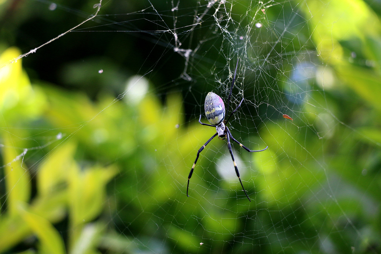 大理洱海-丽江-玉龙雪山-泸沽湖-昆明翠湖七日游（图ZMjI2NDE2NzY=） - 风光摄影 - 站酷设计师董搞搞原创素材 - 站酷ZCOOL
