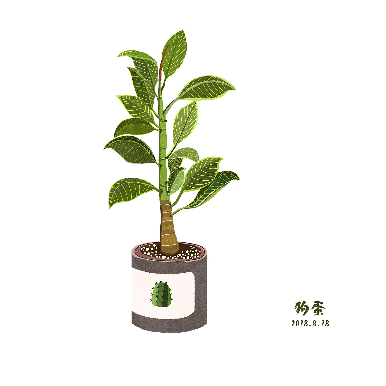 盆栽（图ZMTYwNDU3Mjg0） - 商业插画 - 站酷设计师惆句原创素材 - 站酷ZCOOL