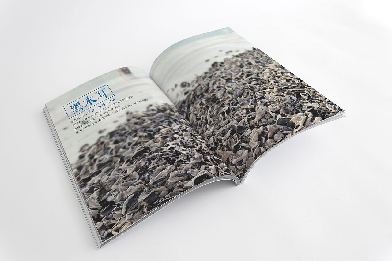 佰盛菌画册设计（图ZNTc4NDkxNjA=） - 书籍/画册 - 站酷设计师是珊珊呀007原创素材 - 站酷ZCOOL