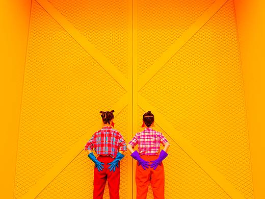 相似彼此似雙生