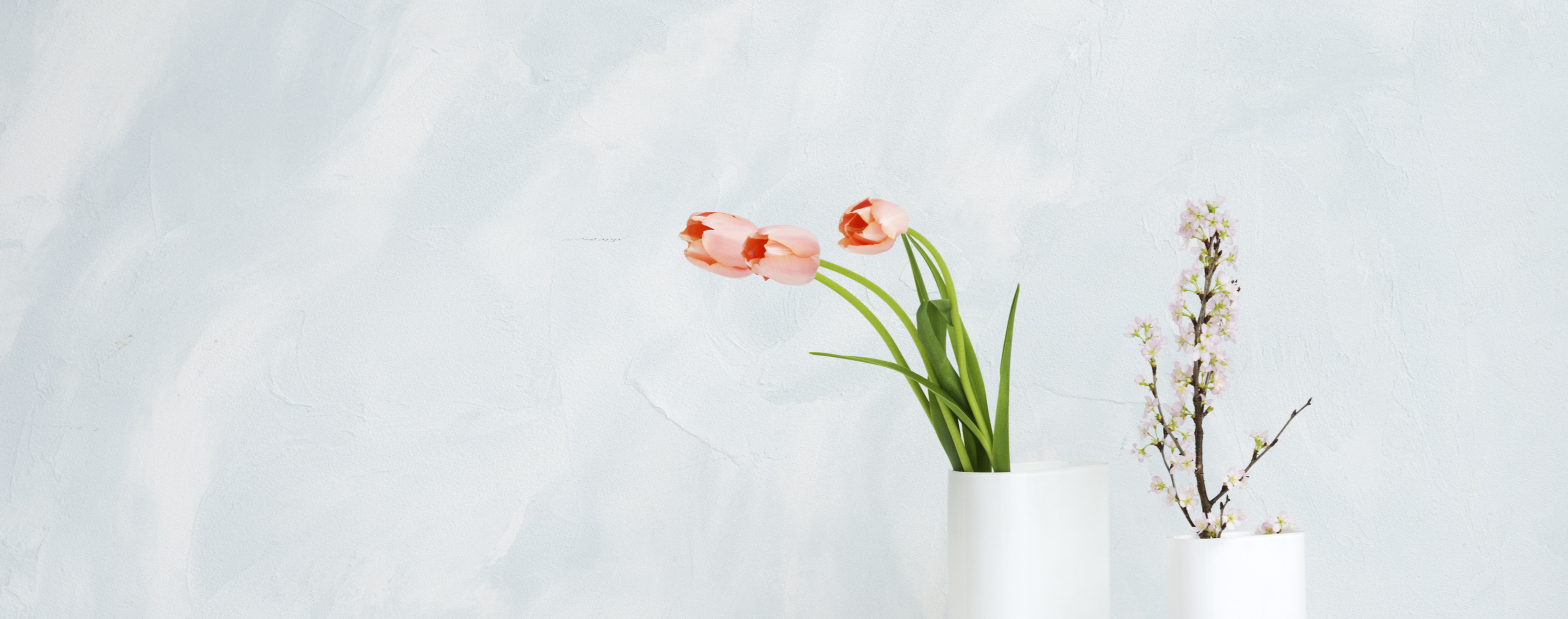 情愫的個(gè)人主頁(yè)（封面預(yù)覽） - 主頁(yè)封面設(shè)置 - 站酷設(shè)計(jì)師情愫原創(chuàng)素材 - 站酷ZCOOL